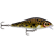 Artistic Burbot